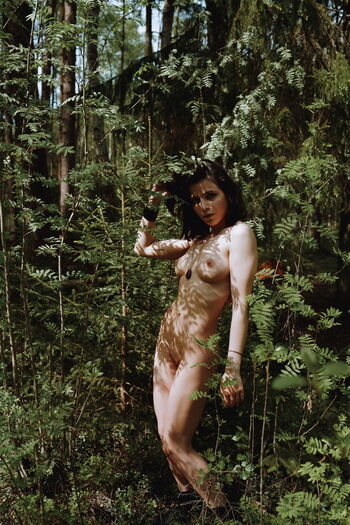 Alexey Pavlov Photographer