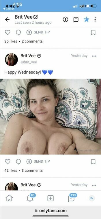 Brit_vee