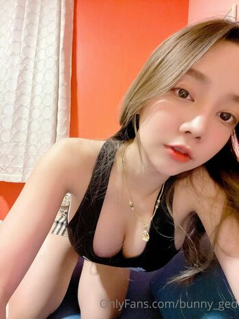 Bunny_ged