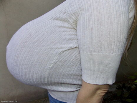 Chelsea Charms