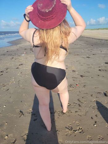 feedistdani