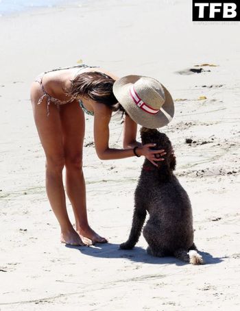 Jordana Brewster