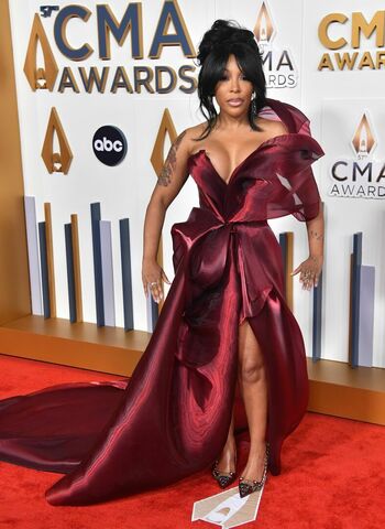 K. Michelle