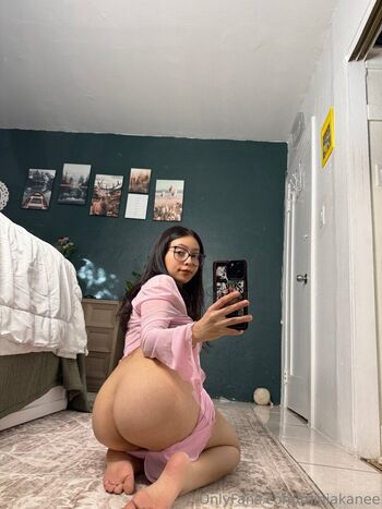LazyKittyx