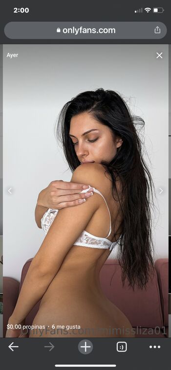 Mimissliza