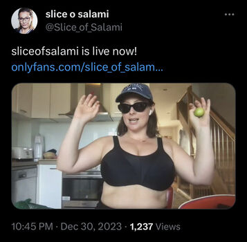 SliceOfSalami