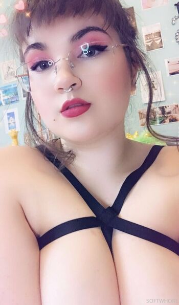softwhore