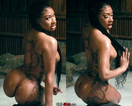 stallion