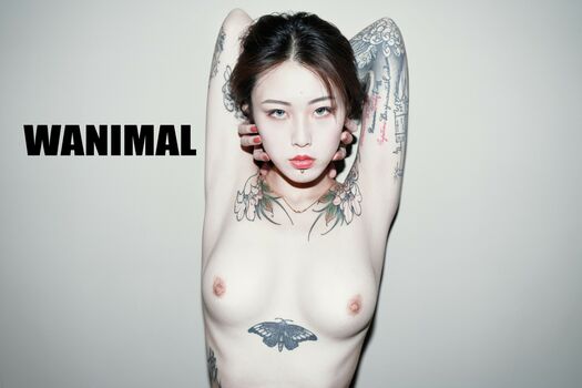 Wanimal Models