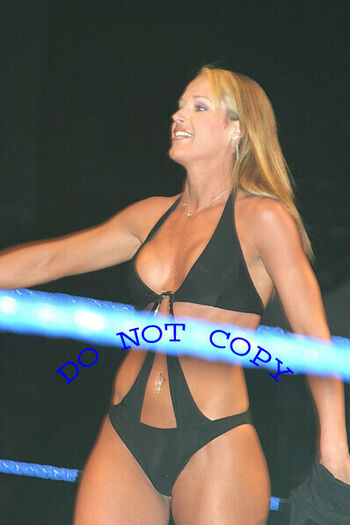WWE Michelle McCool